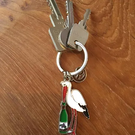 Le Riesling Centre Avec Terrasse Et Parking Gratuit Apartmán *