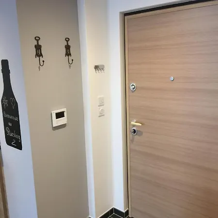 Le Riesling Centre Avec Terrasse Et Parking Gratuit Apartamento