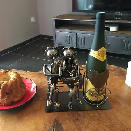 Le Riesling Centre Avec Terrasse Et Parking Gratuit Apartamento Colmar