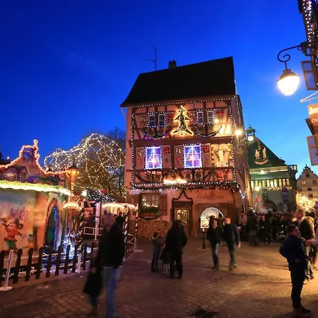 Le Riesling Centre Avec Terrasse Et Parking Gratuit Apartamento *