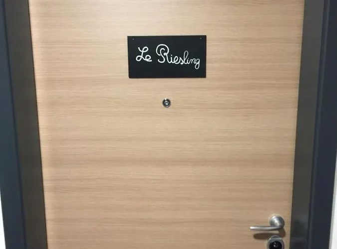 Apartamento Le Riesling Centre Avec Terrasse Et Parking Gratuit