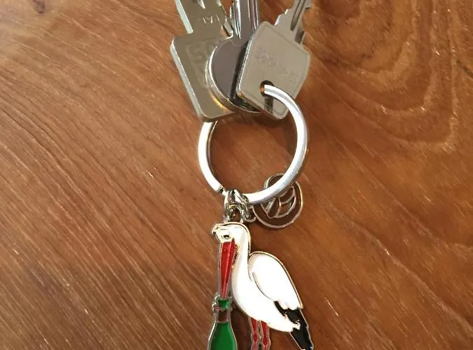 Le Riesling Centre Avec Terrasse Et Parking Gratuit Apartamento *