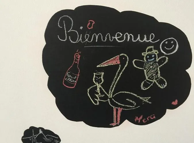 Le Riesling Centre Avec Terrasse Et Parking Gratuit *