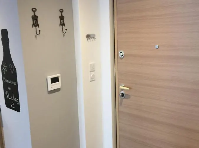 Le Riesling Centre Avec Terrasse Et Parking Gratuit Apartamento