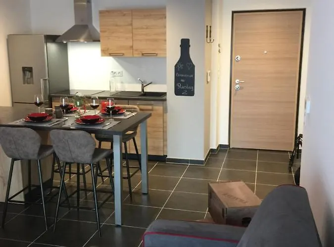 Le Riesling Centre Avec Terrasse Et Parking Gratuit Colmar