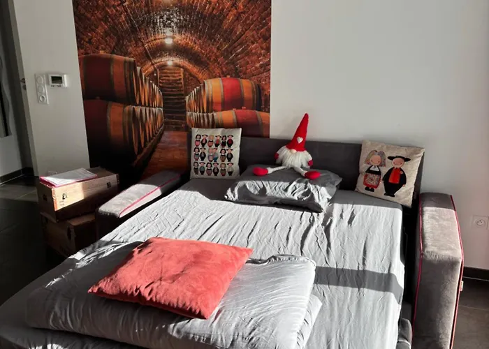 Le Riesling Centre Avec Terrasse Et Parking Gratuit *